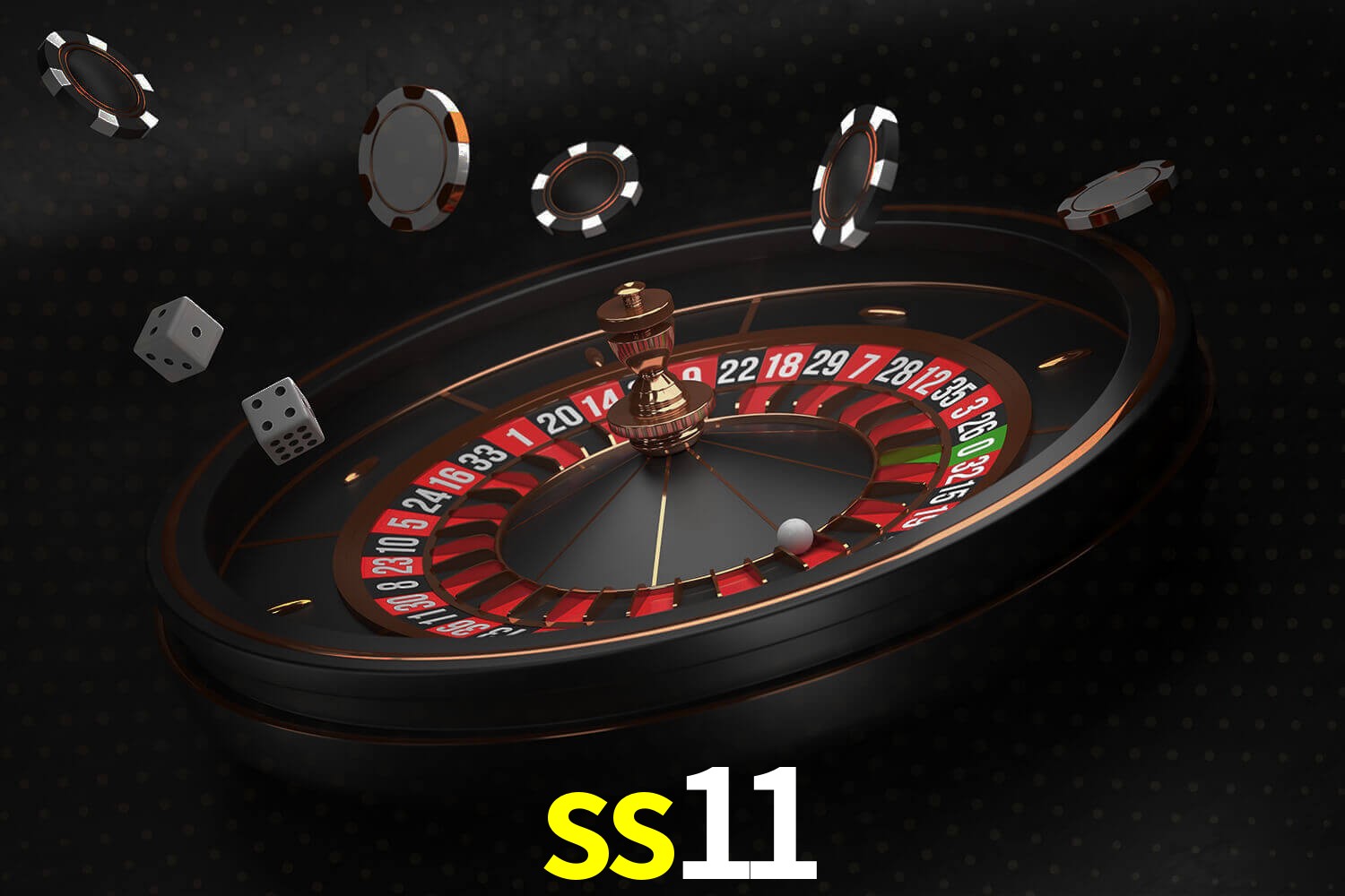 ss11.com